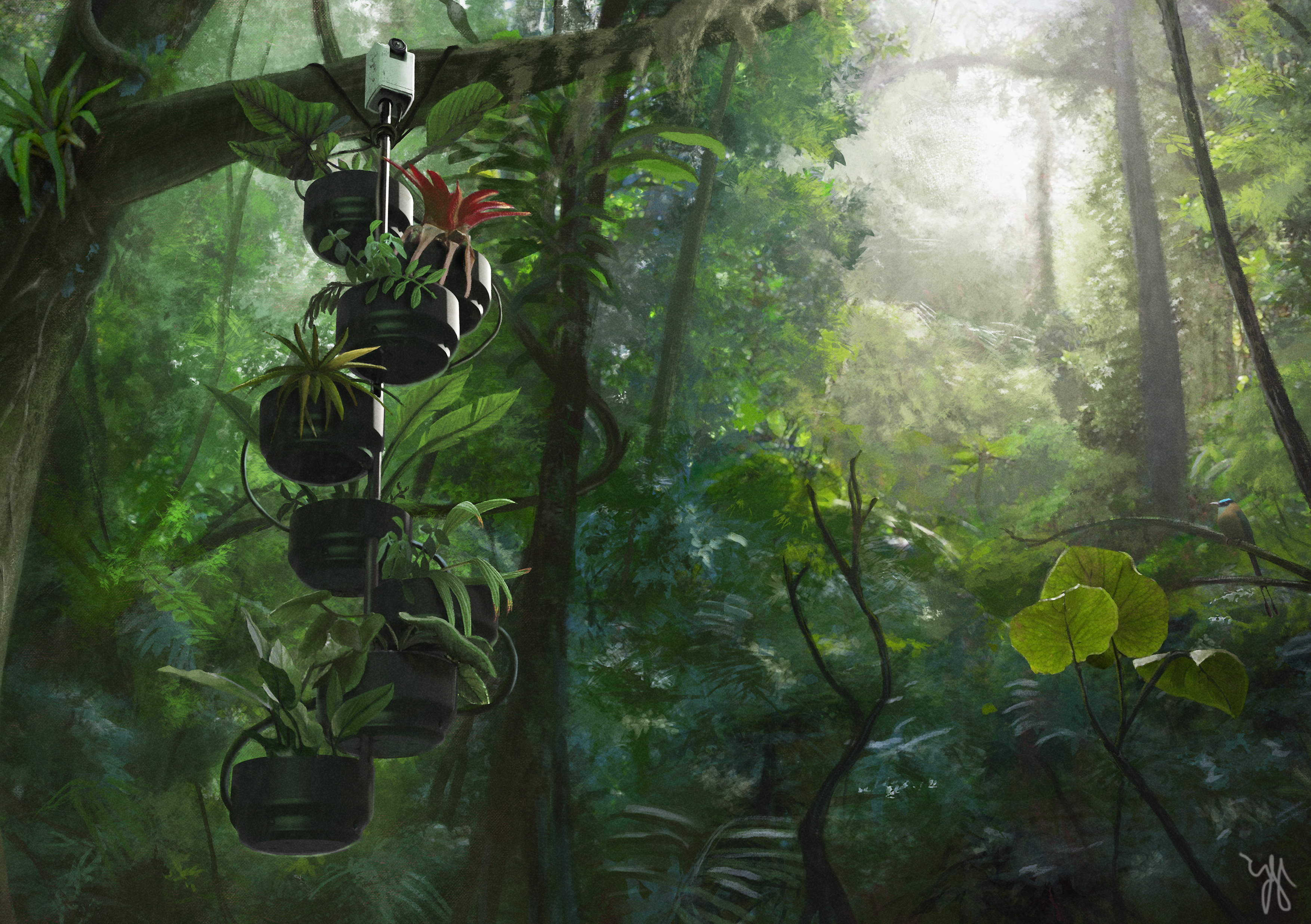 Plant-powered camera trap challenge - arribada initiative open plant
