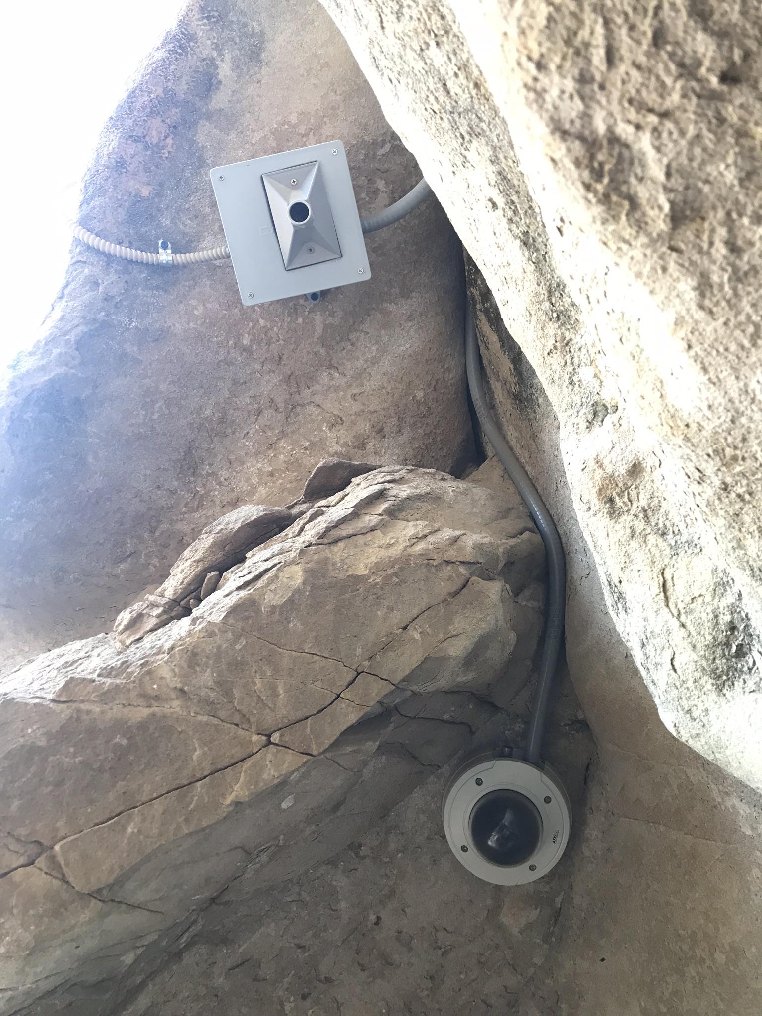 nest setup
