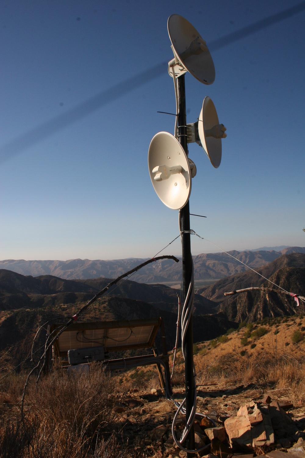 antennae