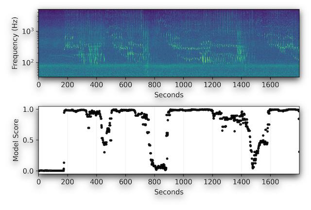 bluewhale frequency