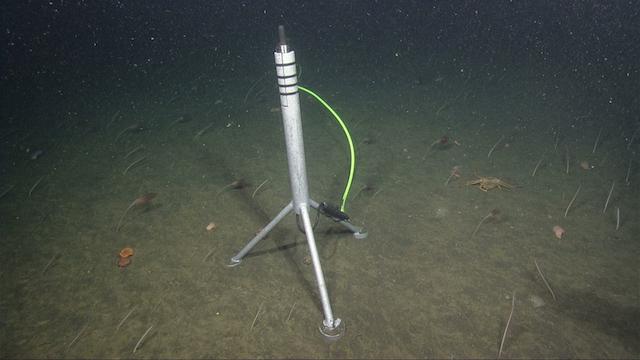 hydrophone