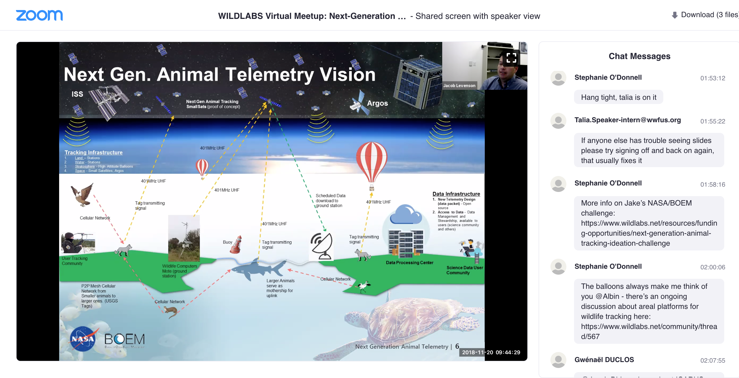 WILDLABS Virtual Meetup Link to Video Recording