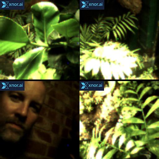 Plant Selfies