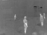 elephant thermal image 5