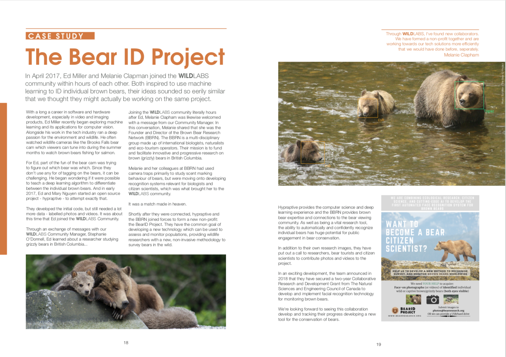 bear id project