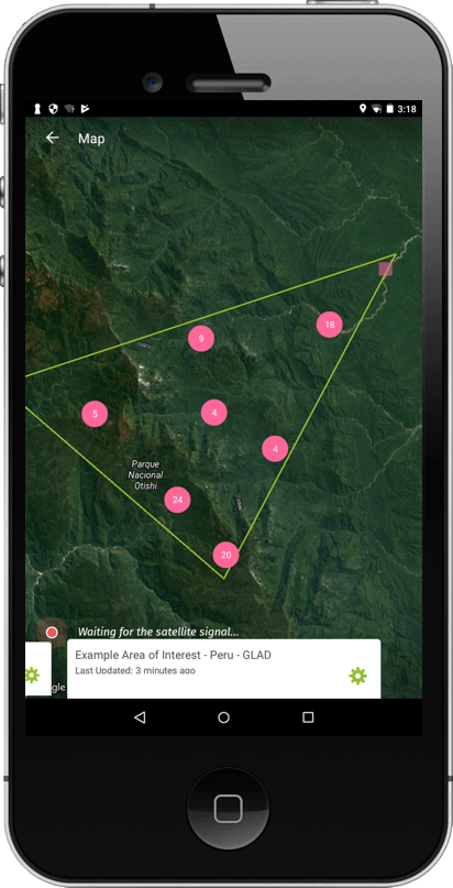 forest watcher app