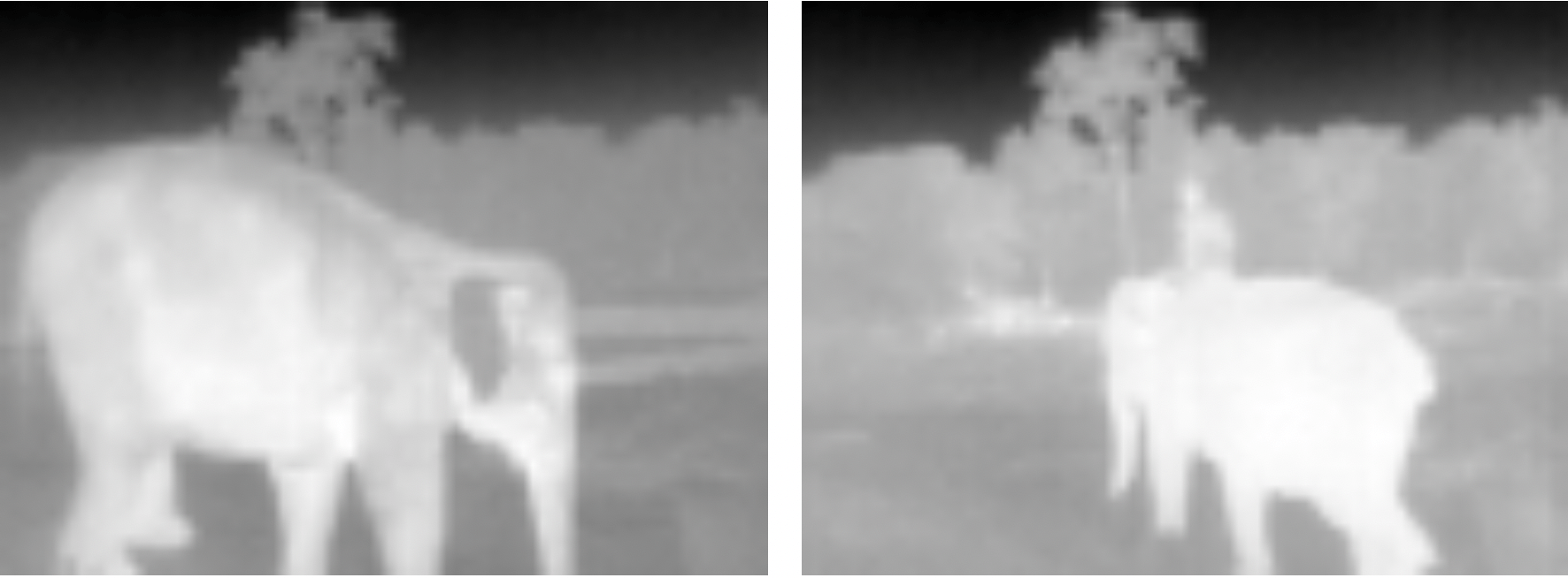 Thermal1