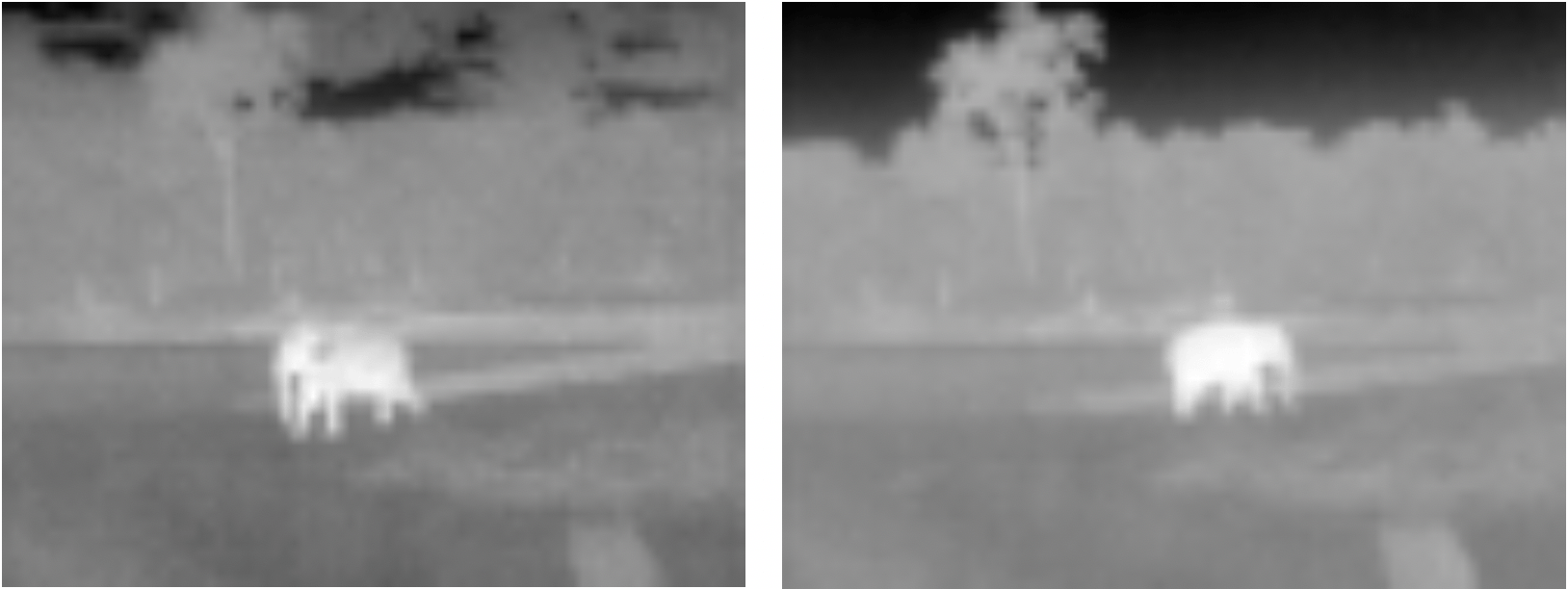 Thermal2