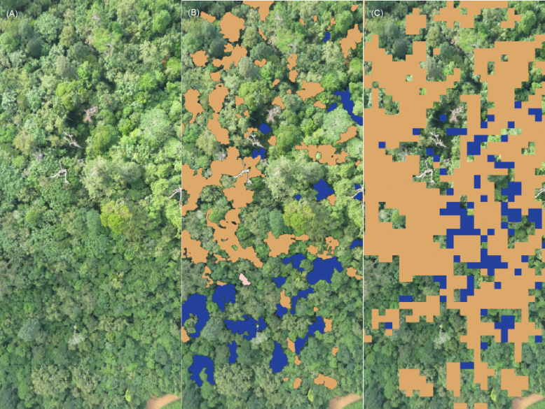 Forest Canopy Density Mapping Software